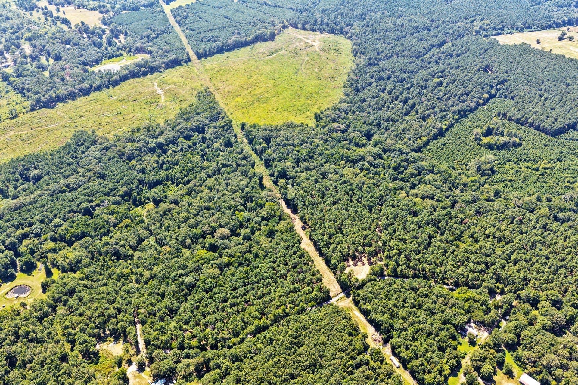 10.7 acres in Camp County - photo 4