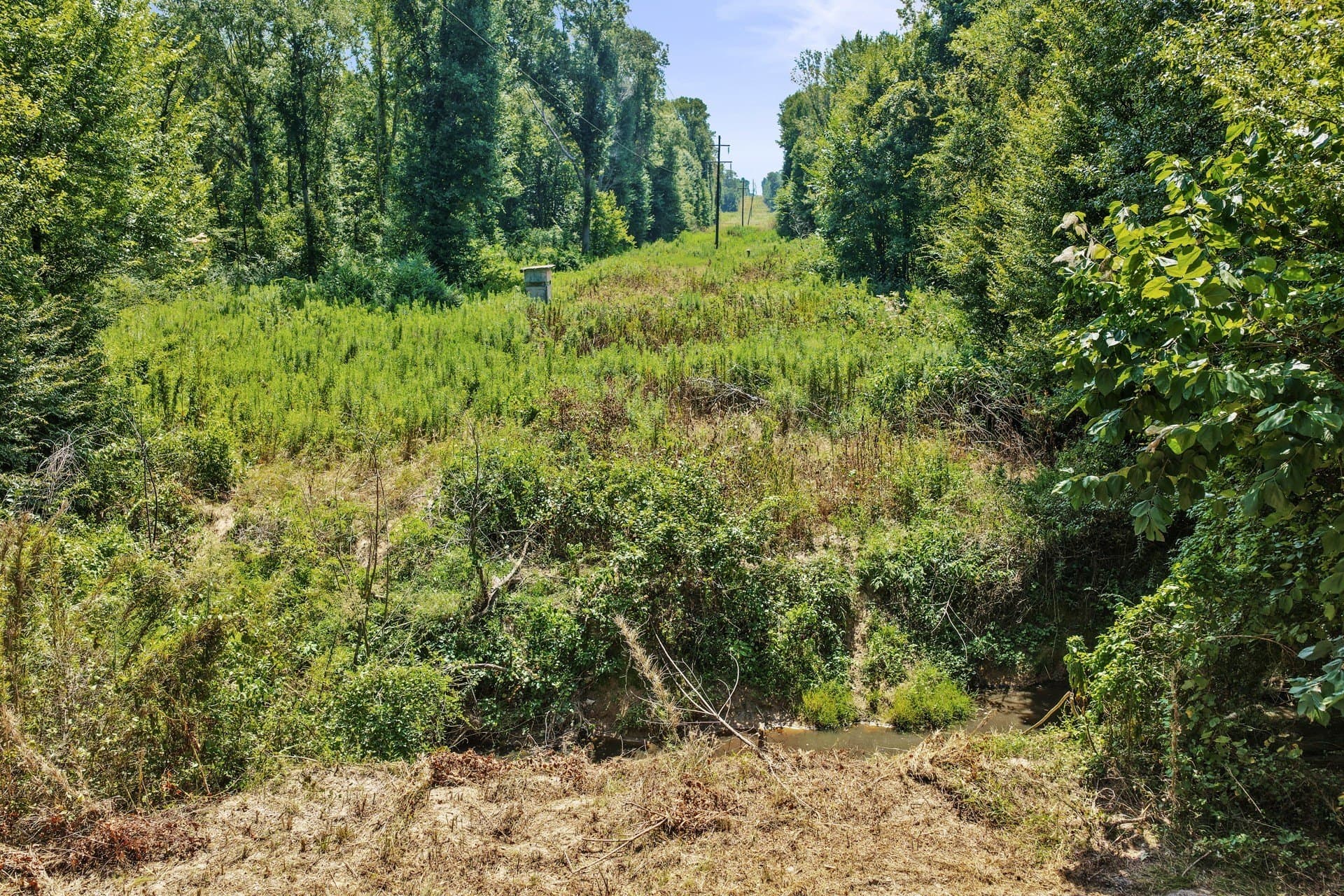10.7 acres in Camp County - photo 31
