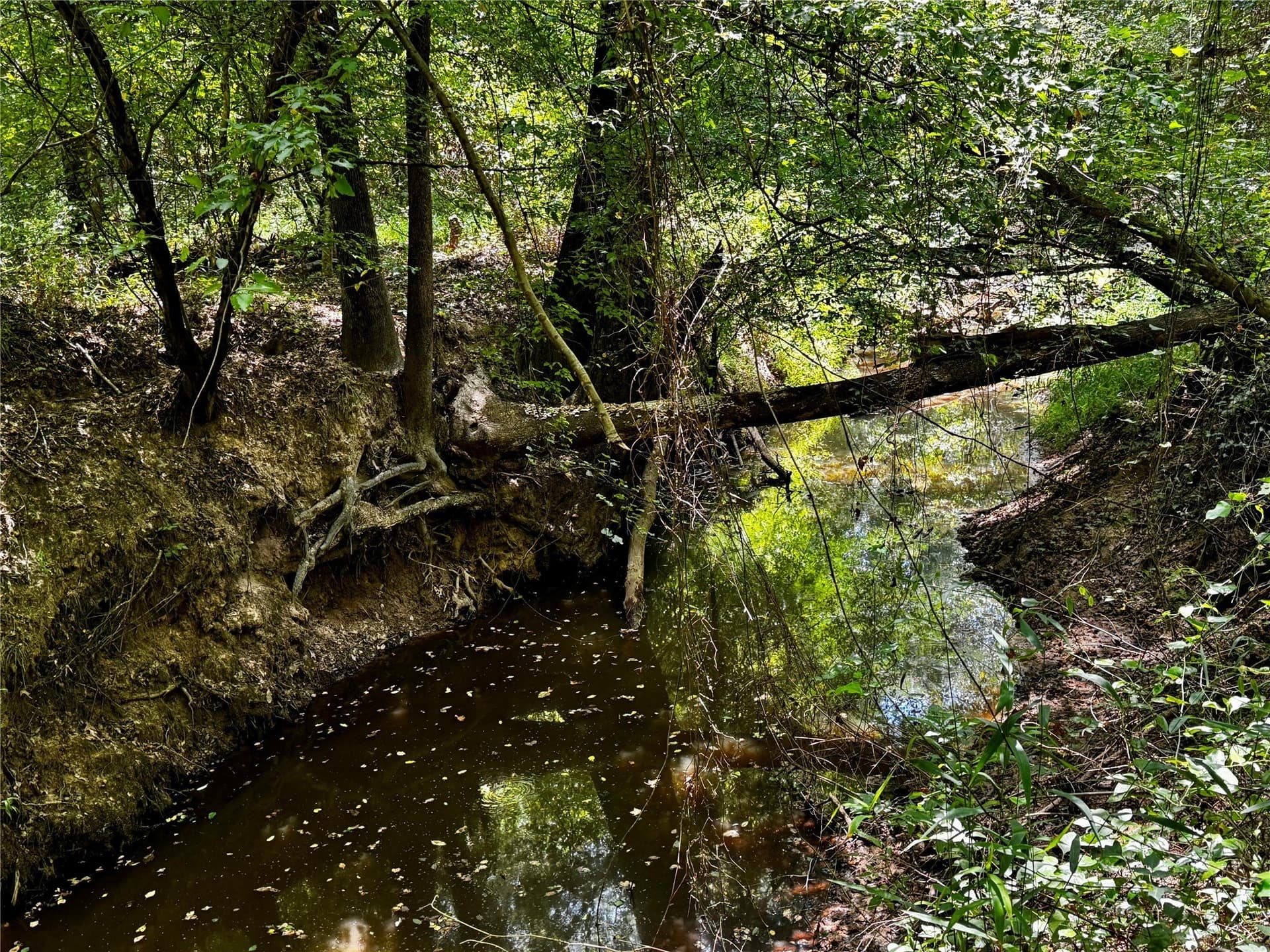 10.7 acres in Camp County - photo 14