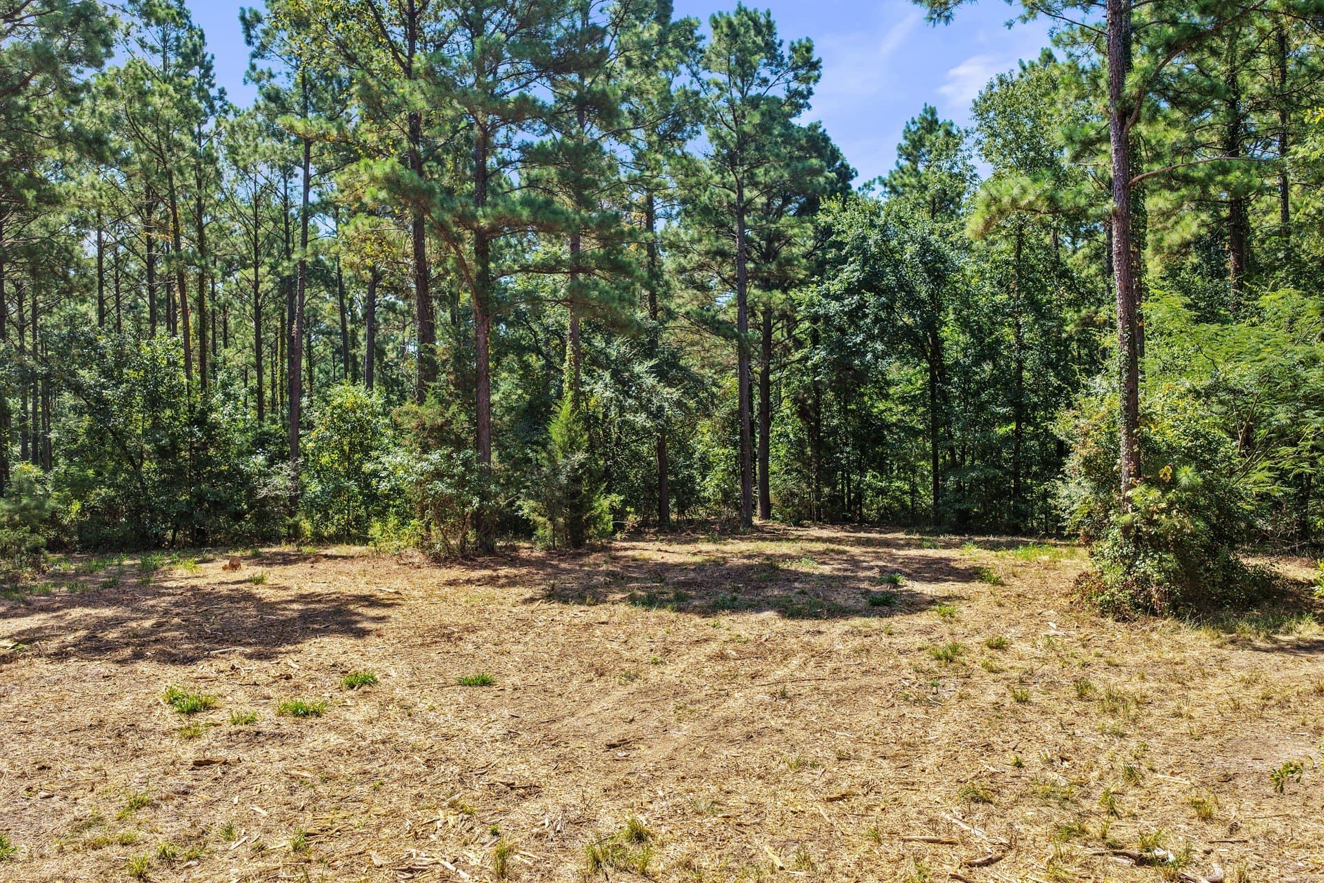 10.7 acres in Camp County - photo 19