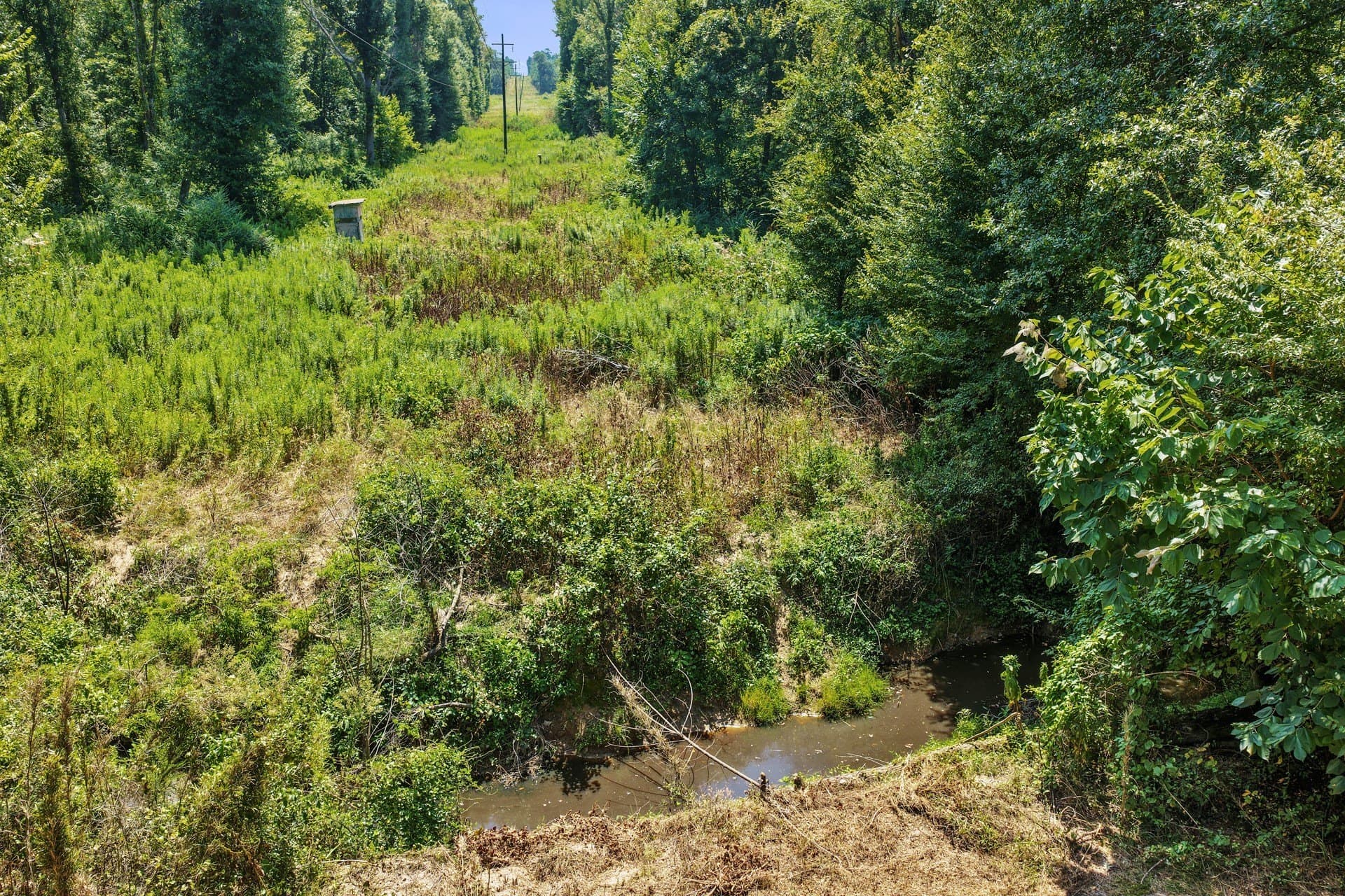 10.7 acres in Camp County - photo 32