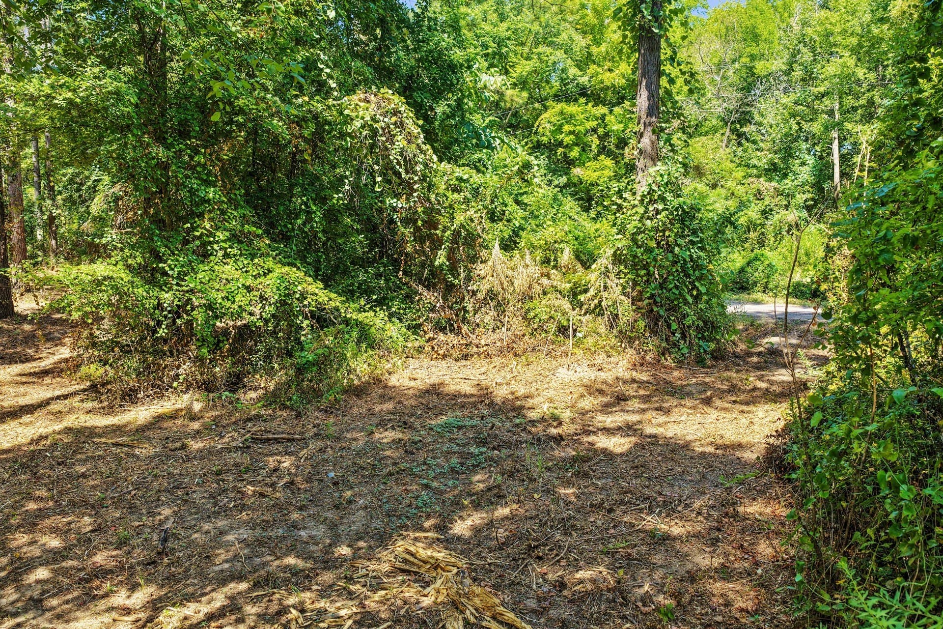10.7 acres in Camp County - photo 25