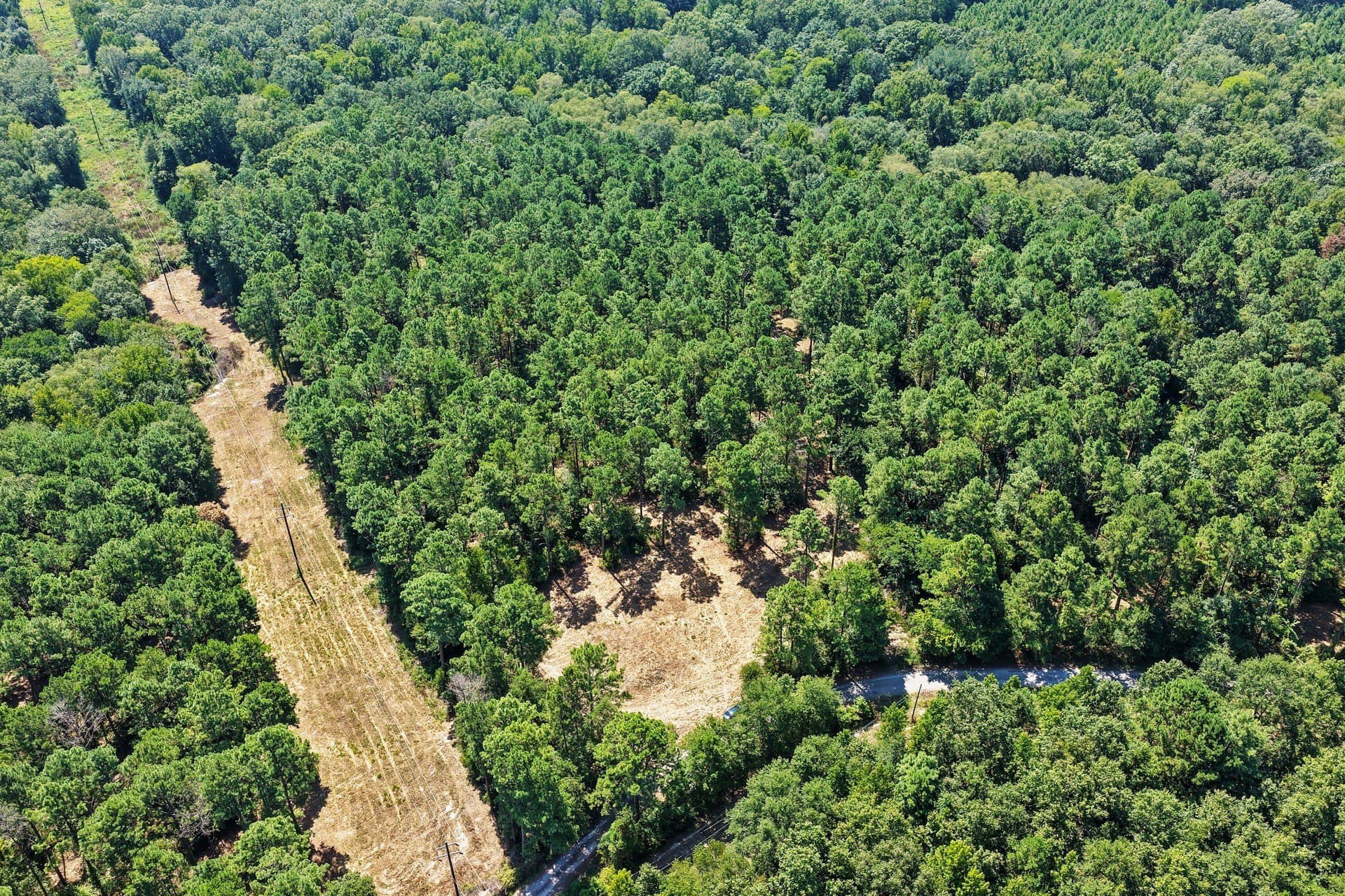10.7 acres in Camp County - photo 5
