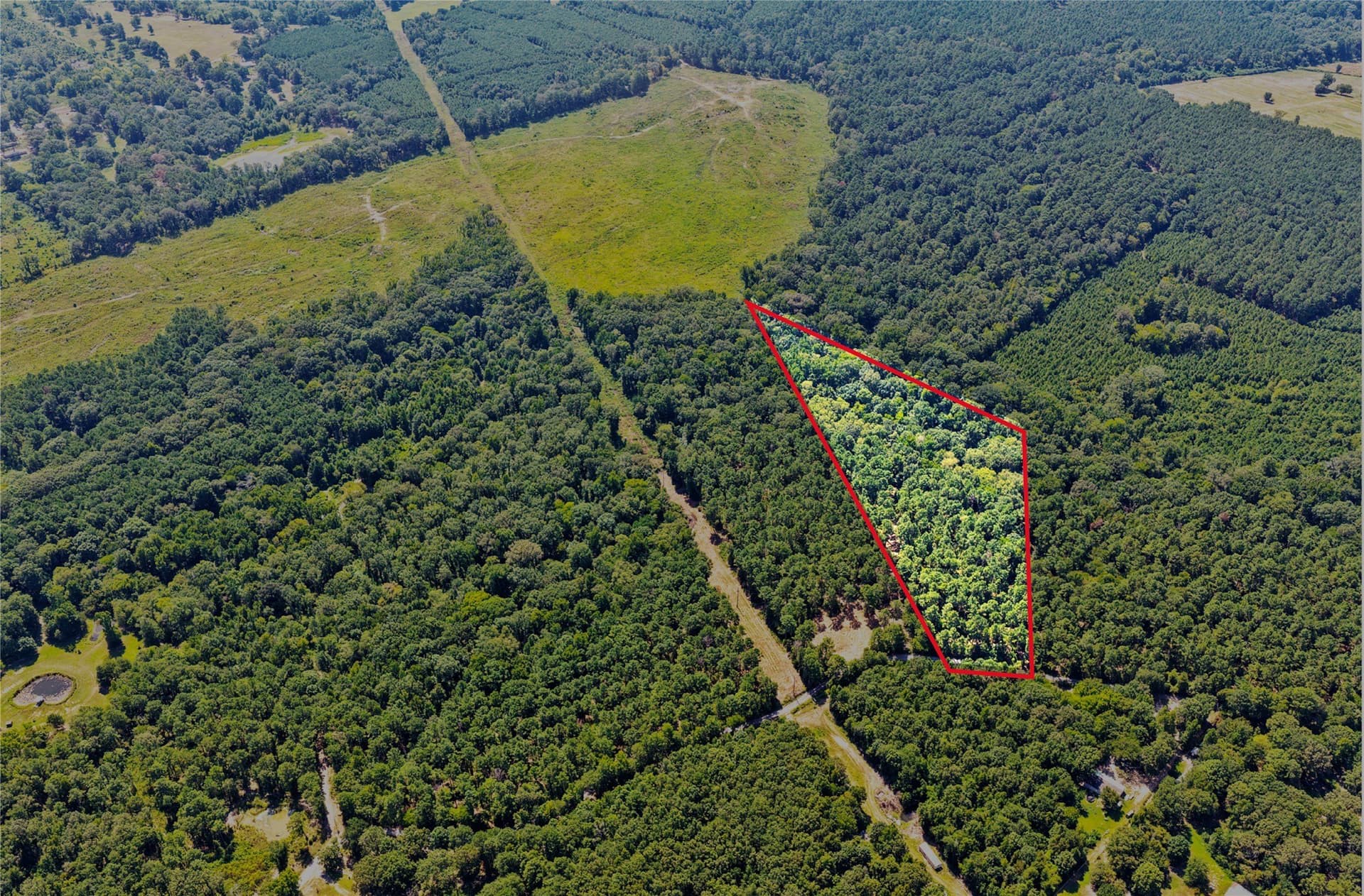 10.7 acres in Camp County