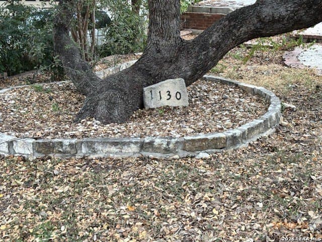 0.98 acres in Bexar County gallery image 3