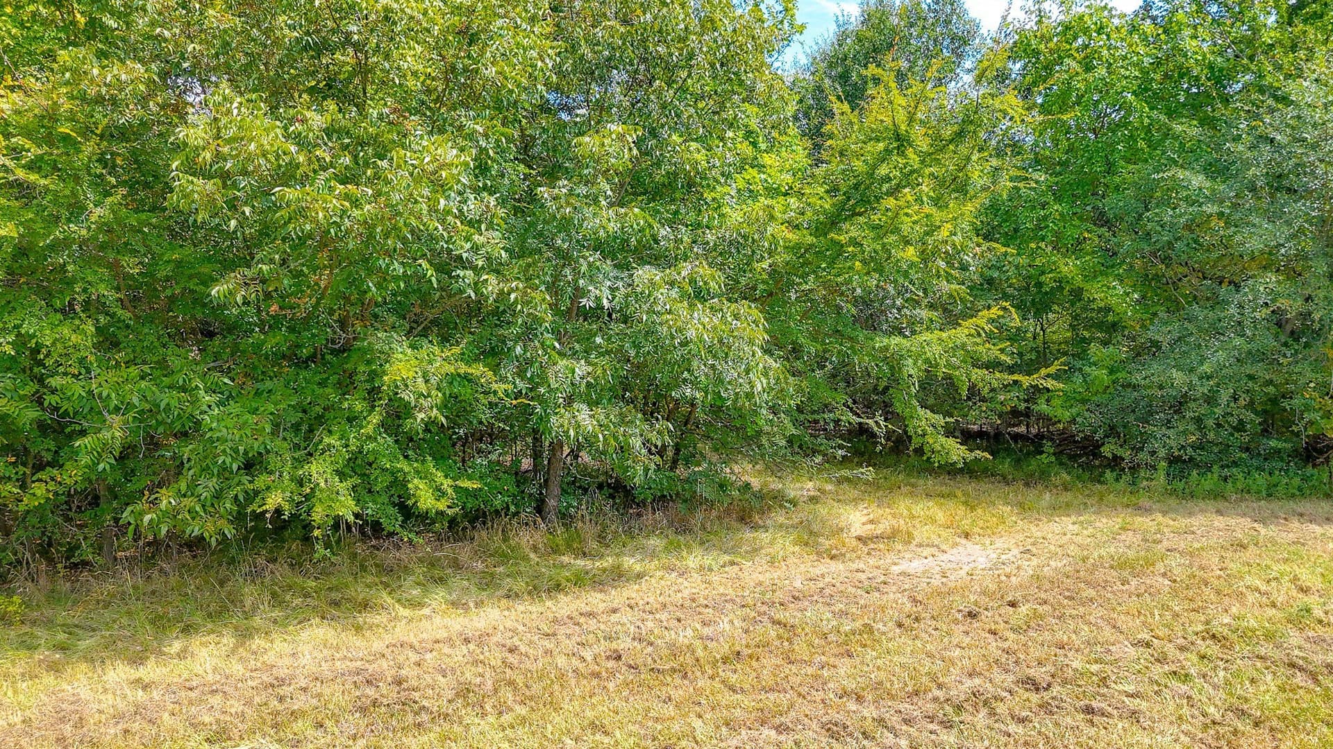 1.02 acres in Navarro County - photo 2