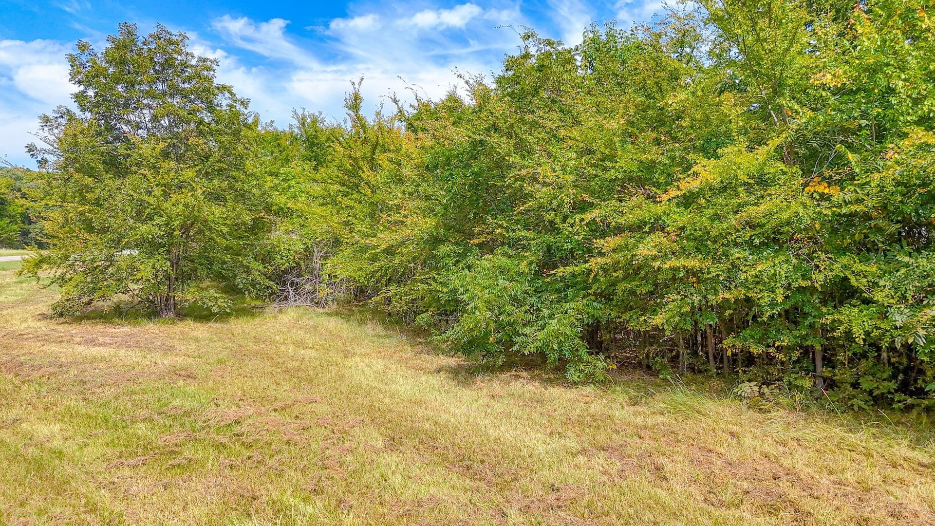 1.02 acres in Navarro County - photo 3