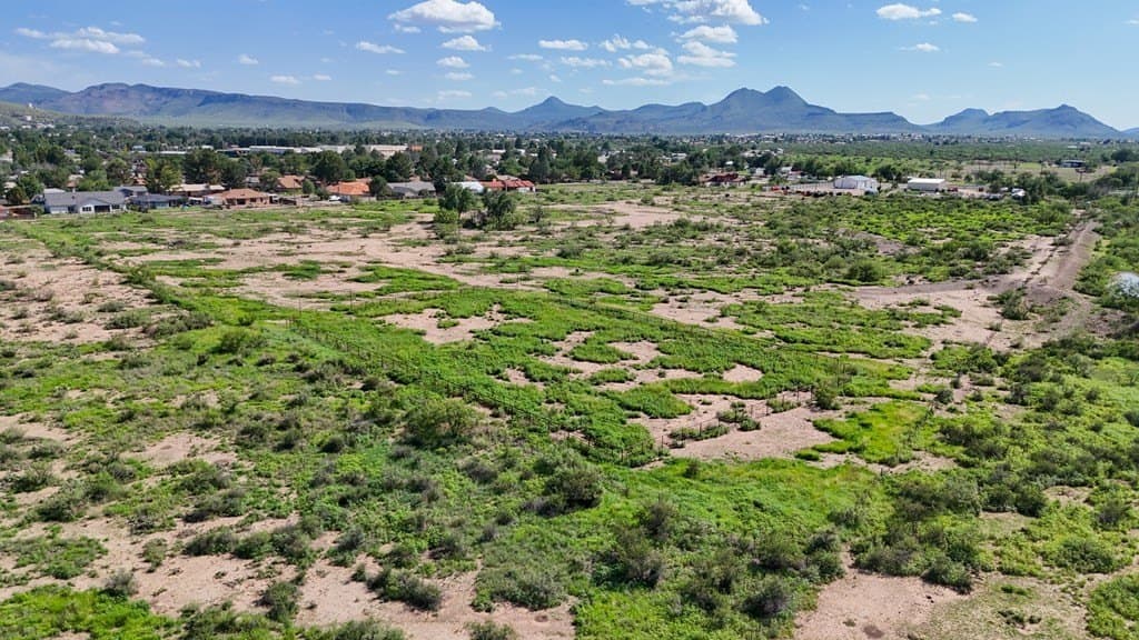 19.4 acres in Brewster County - photo 14