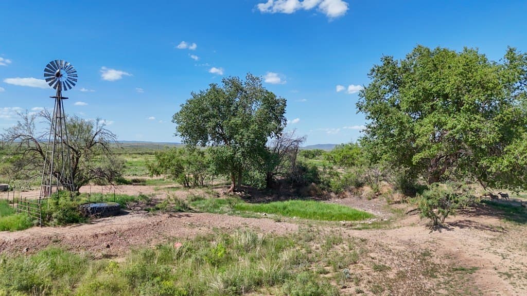 19.4 acres in Brewster County - photo 11