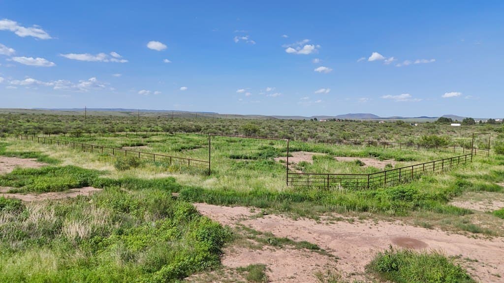 19.4 acres in Brewster County - photo 9