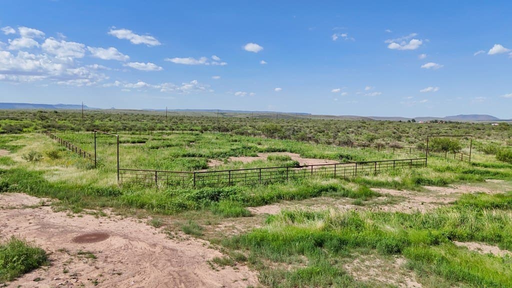 19.4 acres in Brewster County - photo 10