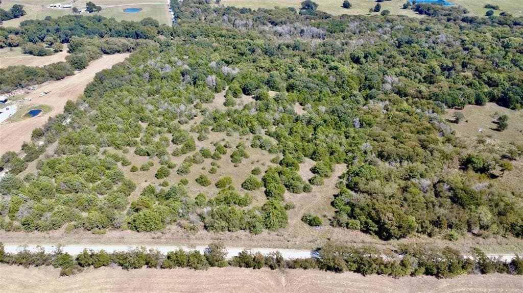 62.8 acres in Navarro County gallery image 2