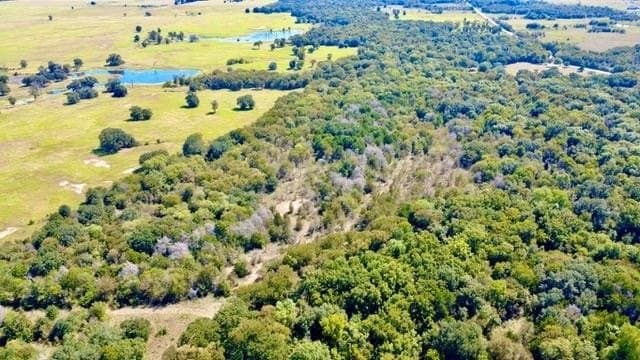 62.8 acres in Navarro County gallery image 4