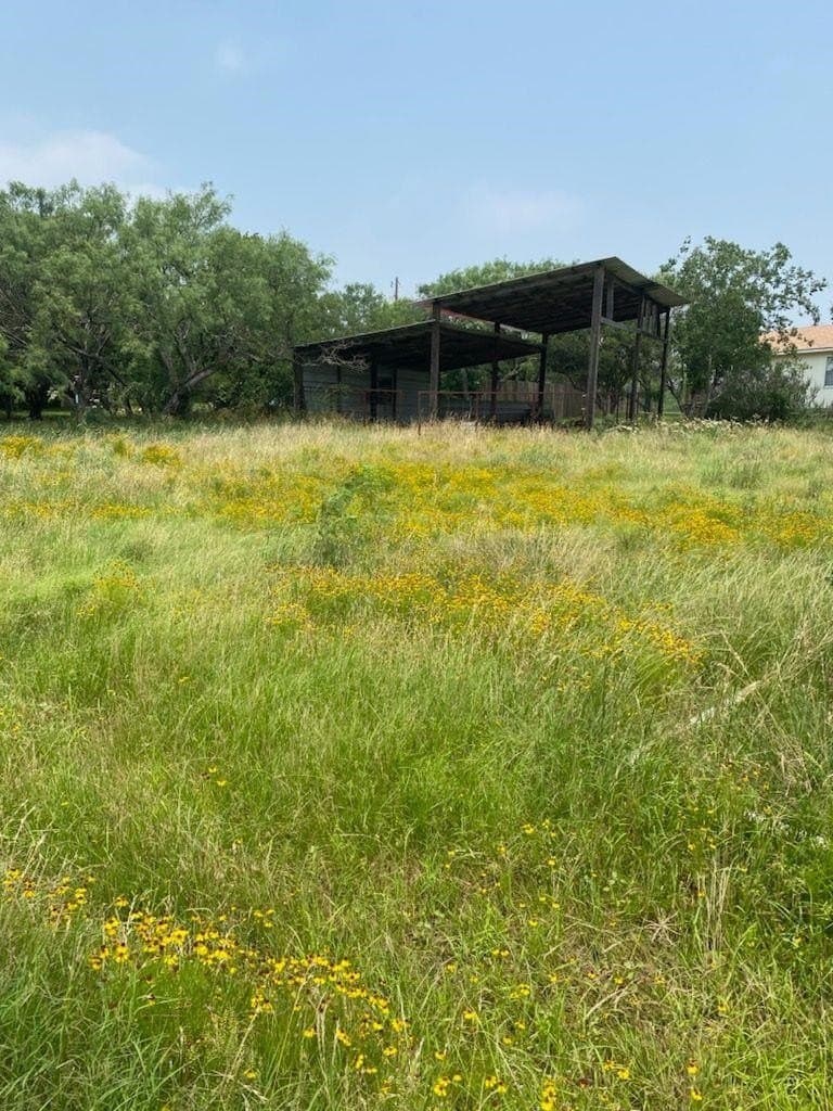 0.25 acres in Llano County gallery image 2