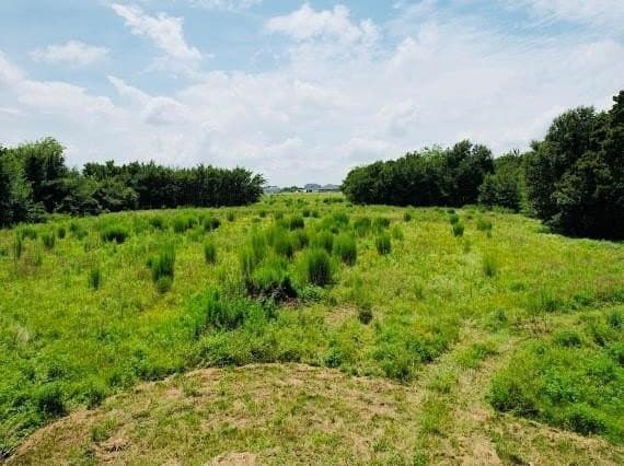 11.14 acres in Hopkins County featured view