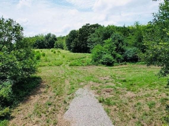 11.14 acres in Hopkins County gallery image 4
