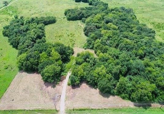 11.14 acres in Hopkins County gallery image 2
