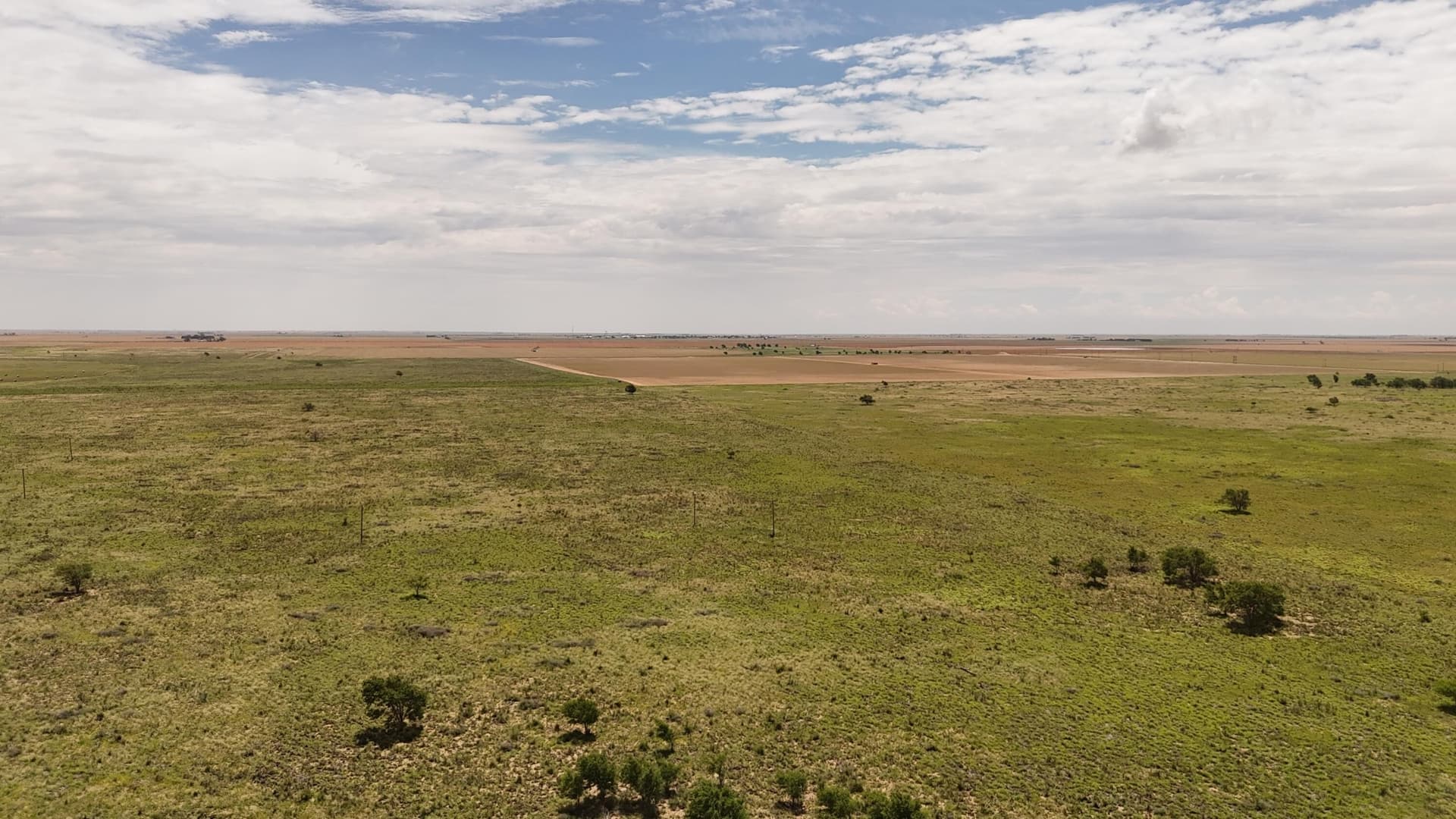 10.01 acres in Terry County - photo 2