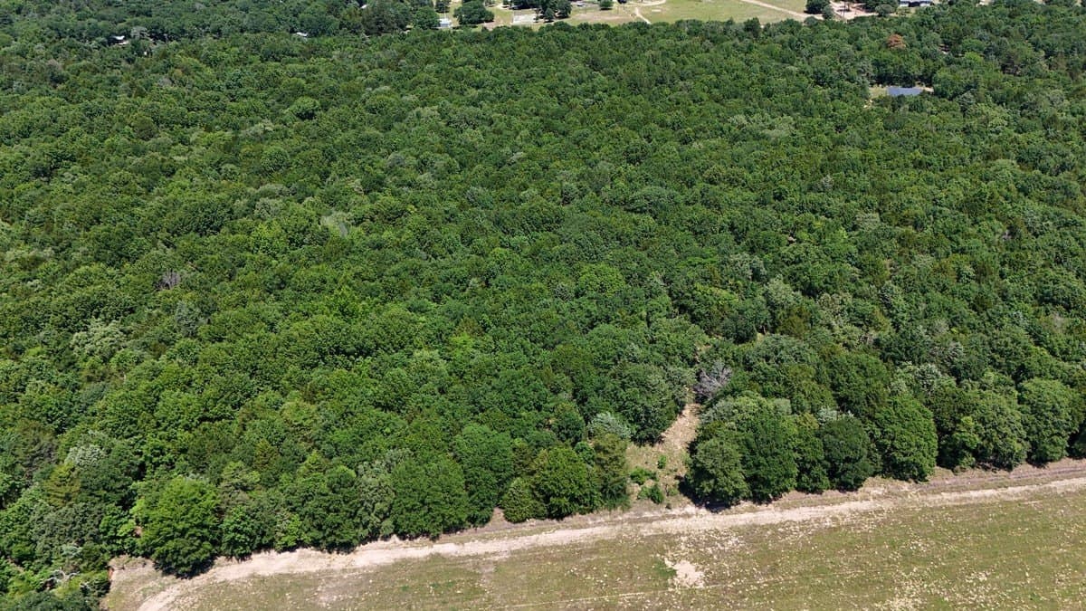 16.5 acres in Smith County - photo 3