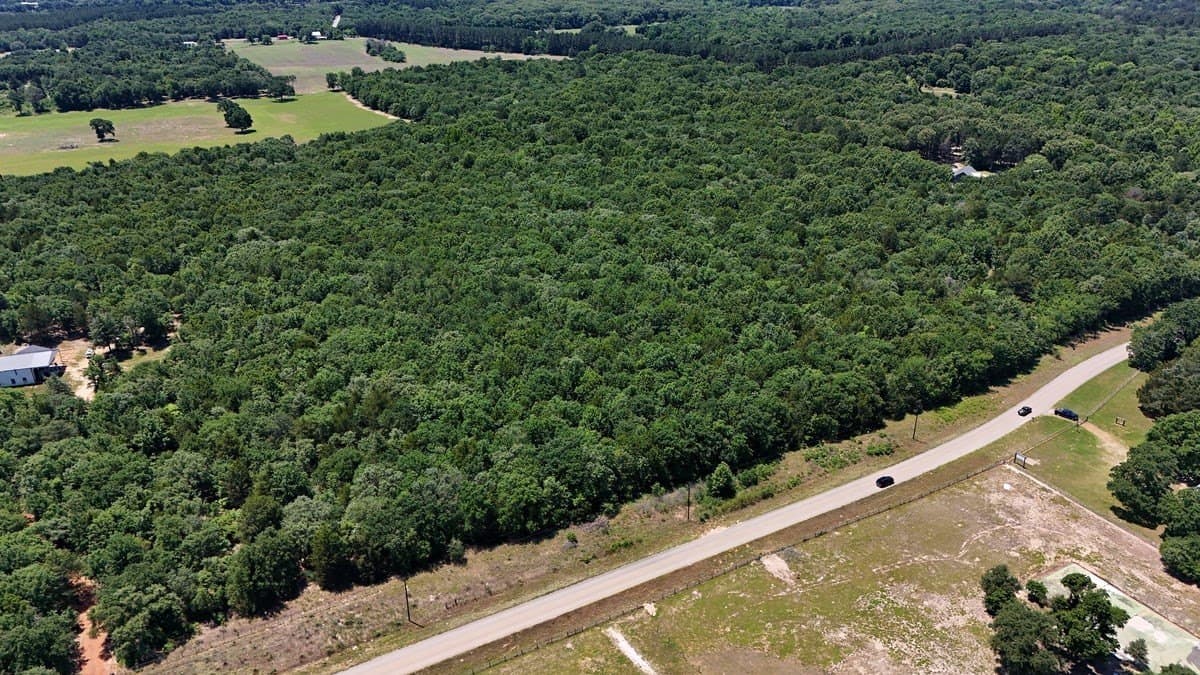 16.5 acres in Smith County - photo 4