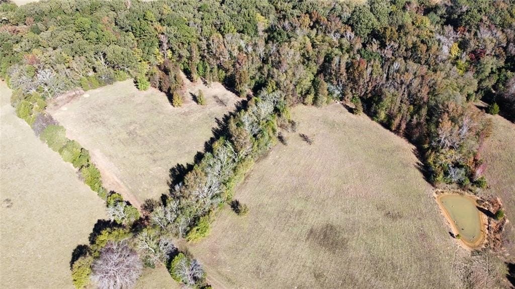 32.03 acres in Rusk County gallery image 4