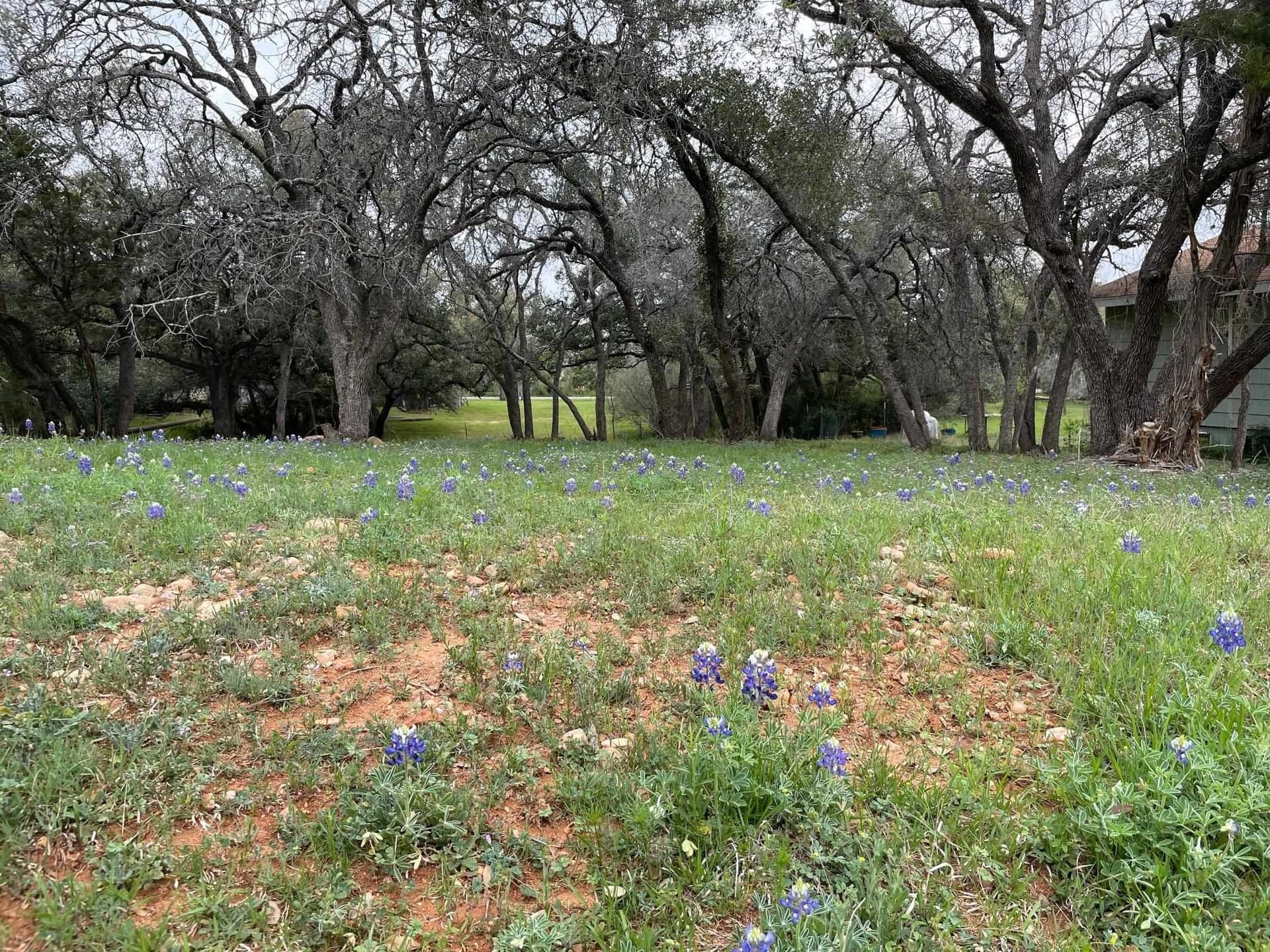 0.26 acres in Burnet County gallery image 3