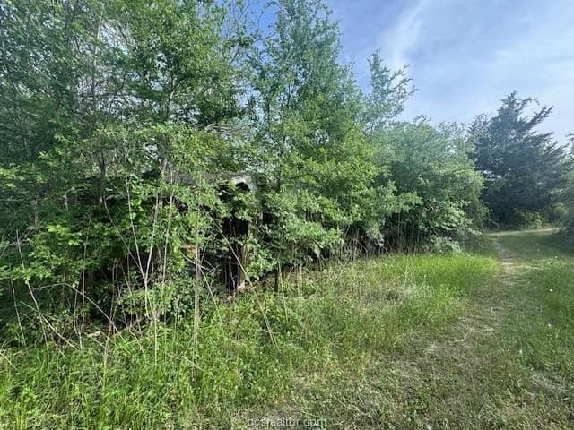 2.9 acres in Brazos County - photo 18