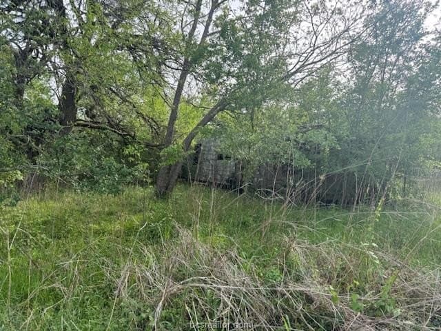 2.9 acres in Brazos County gallery image 4
