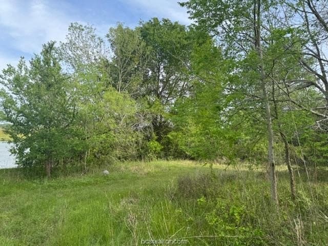 2.9 acres in Brazos County - photo 6
