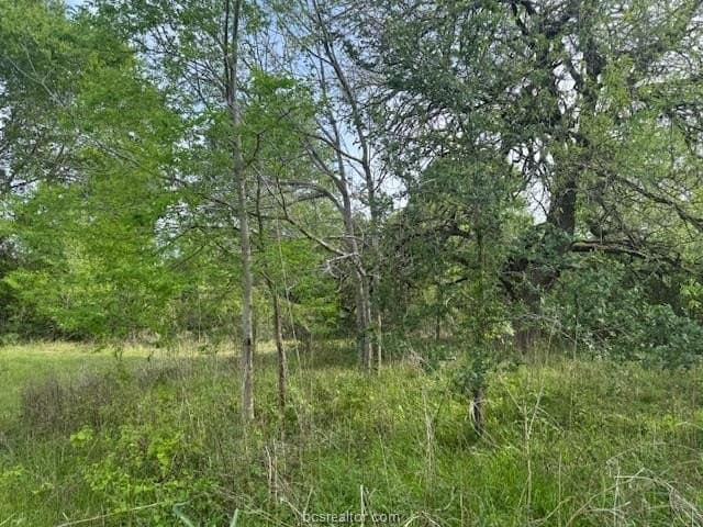 2.9 acres in Brazos County featured view