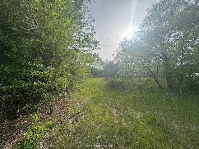 2.9 acres in Brazos County - photo 16