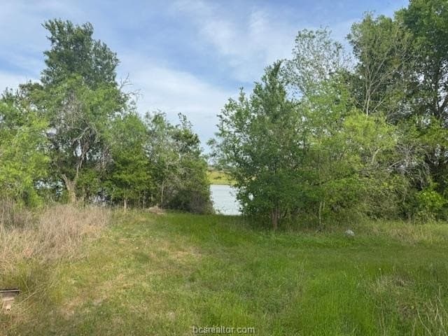 2.9 acres in Brazos County - photo 7