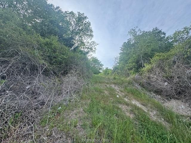 2.9 acres in Brazos County - photo 15