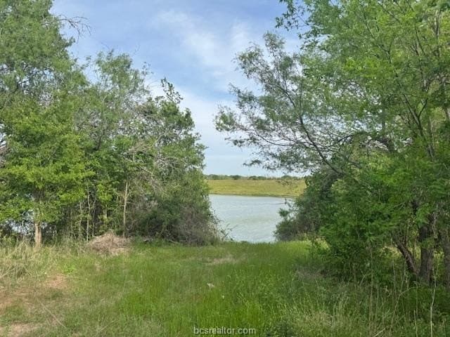 2.9 acres in Brazos County - photo 8