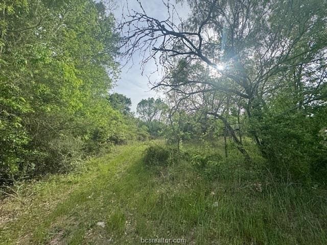 2.9 acres in Brazos County - photo 17