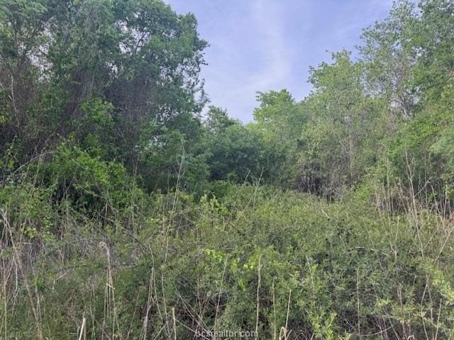2.9 acres in Brazos County