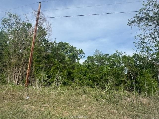 2.9 acres in Brazos County - photo 22