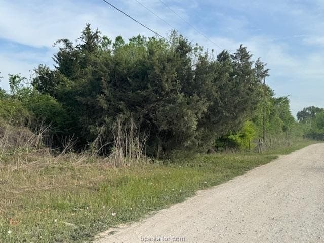2.9 acres in Brazos County - photo 20