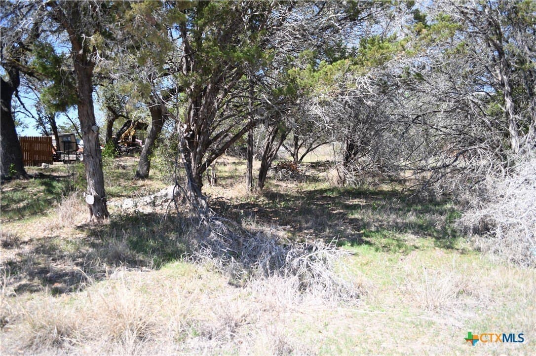 0.22 acres in Comal County - photo 9