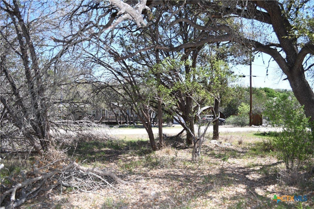 0.22 acres in Comal County - photo 8
