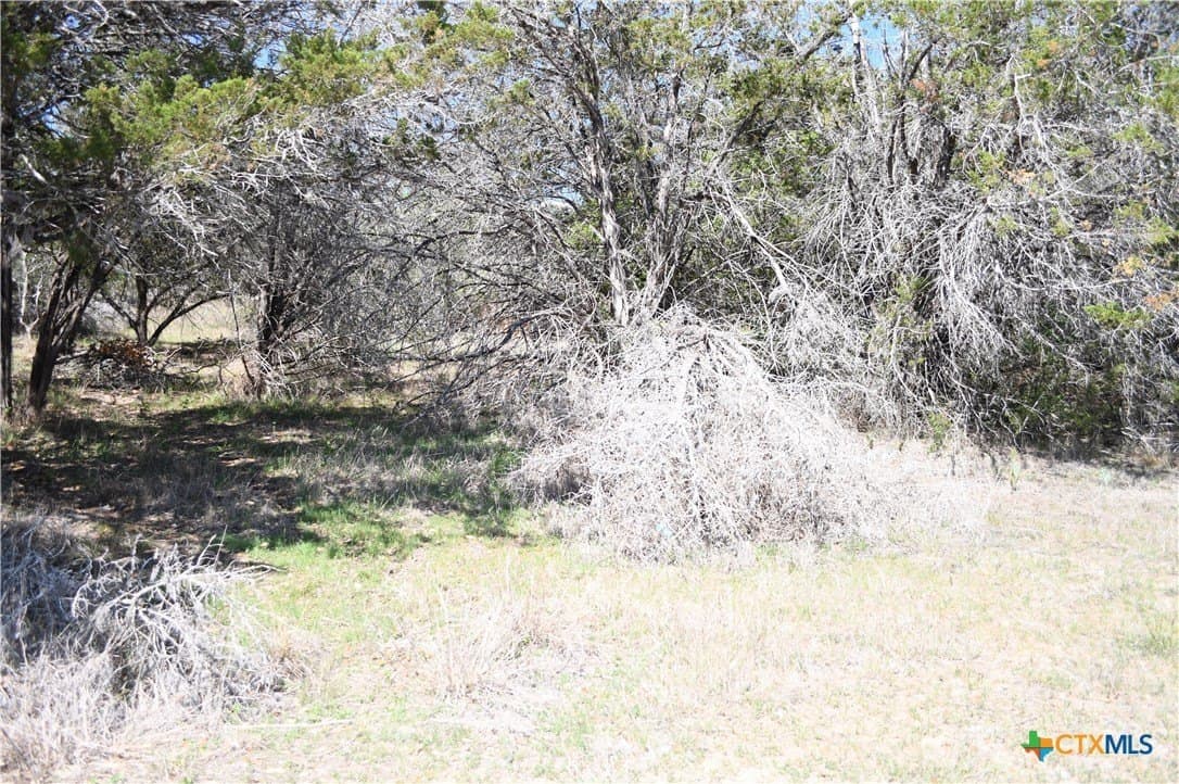 0.22 acres in Comal County - photo 10