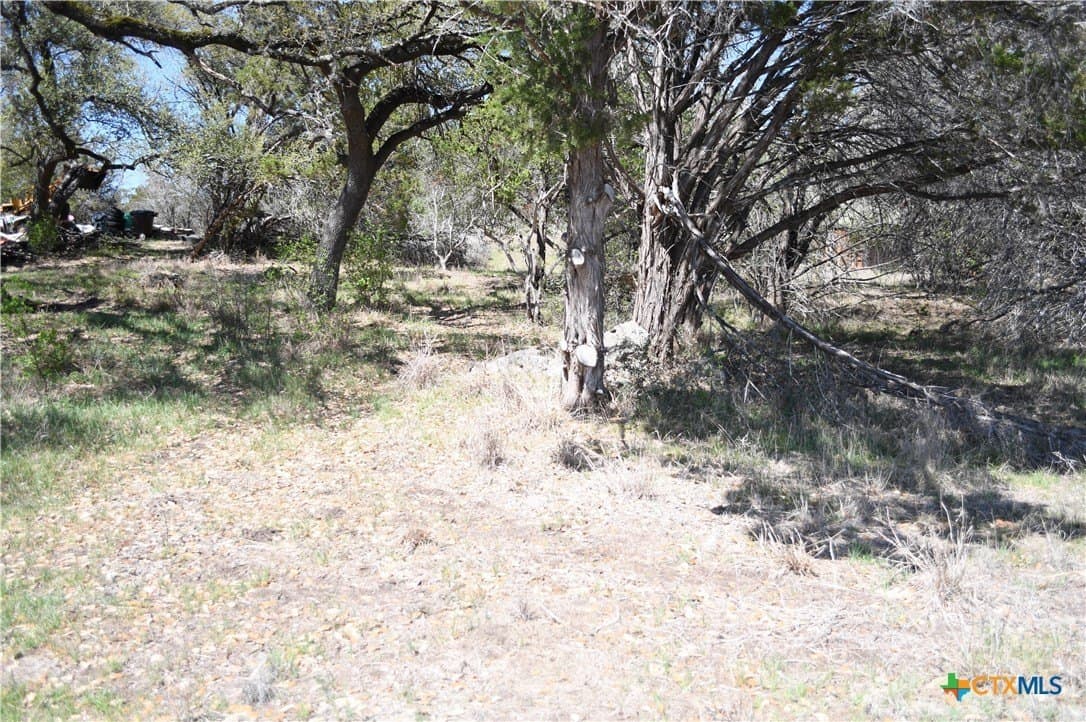 0.22 acres in Comal County gallery image 2