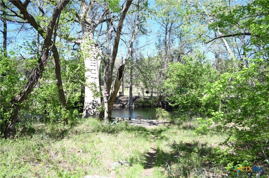 0.22 acres in Comal County - photo 12