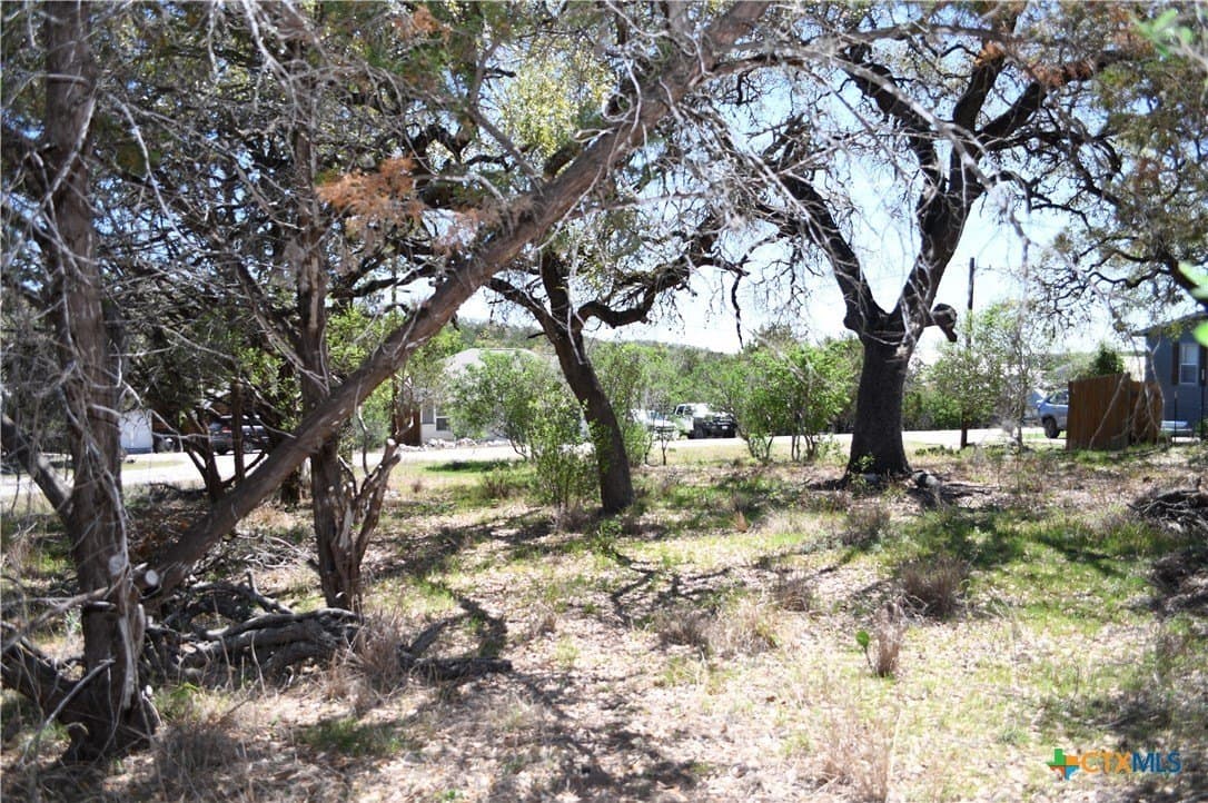 0.22 acres in Comal County - photo 7