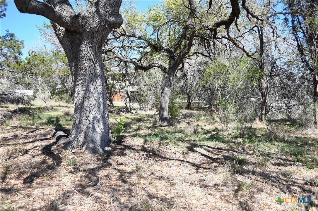 0.22 acres in Comal County gallery image 4