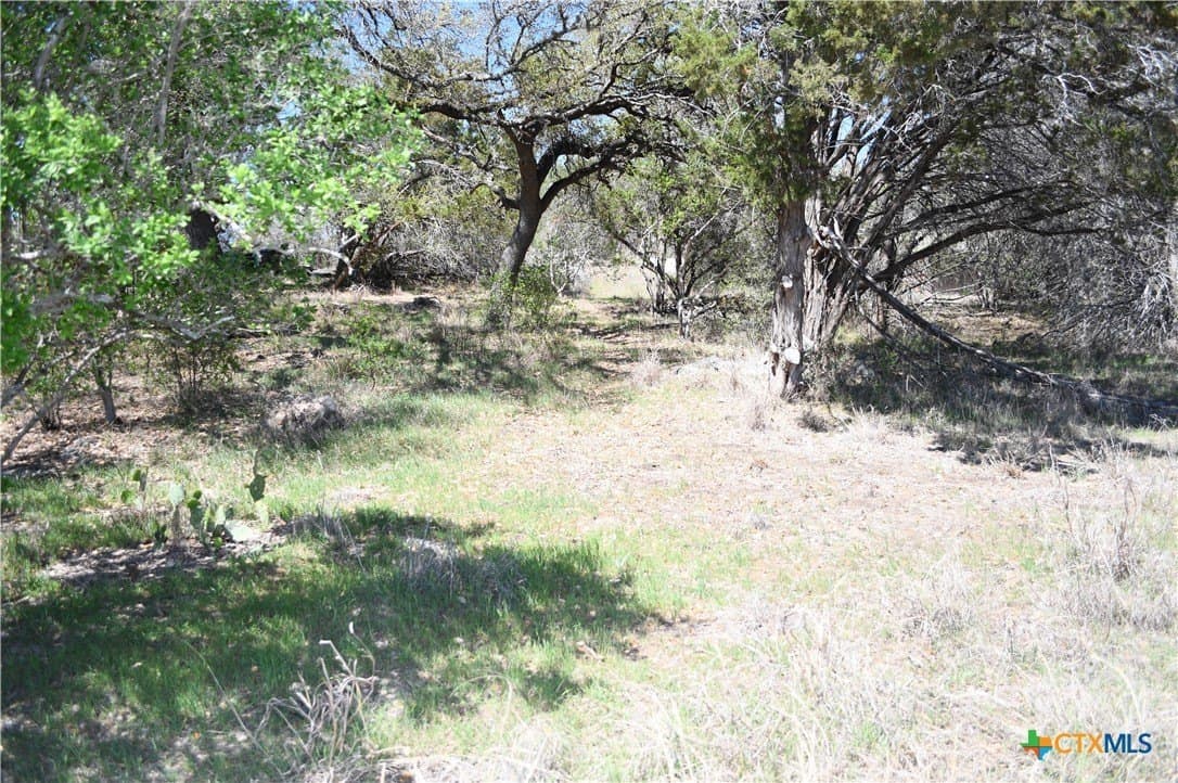 0.22 acres in Comal County gallery image 3