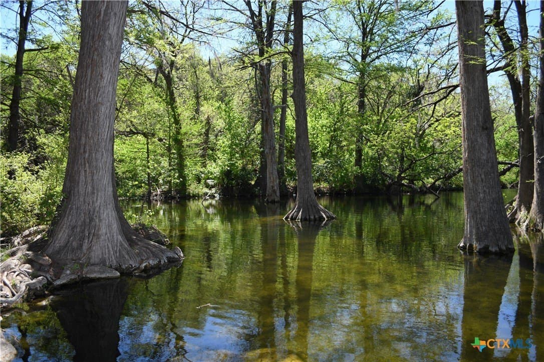 0.22 acres in Comal County - photo 22