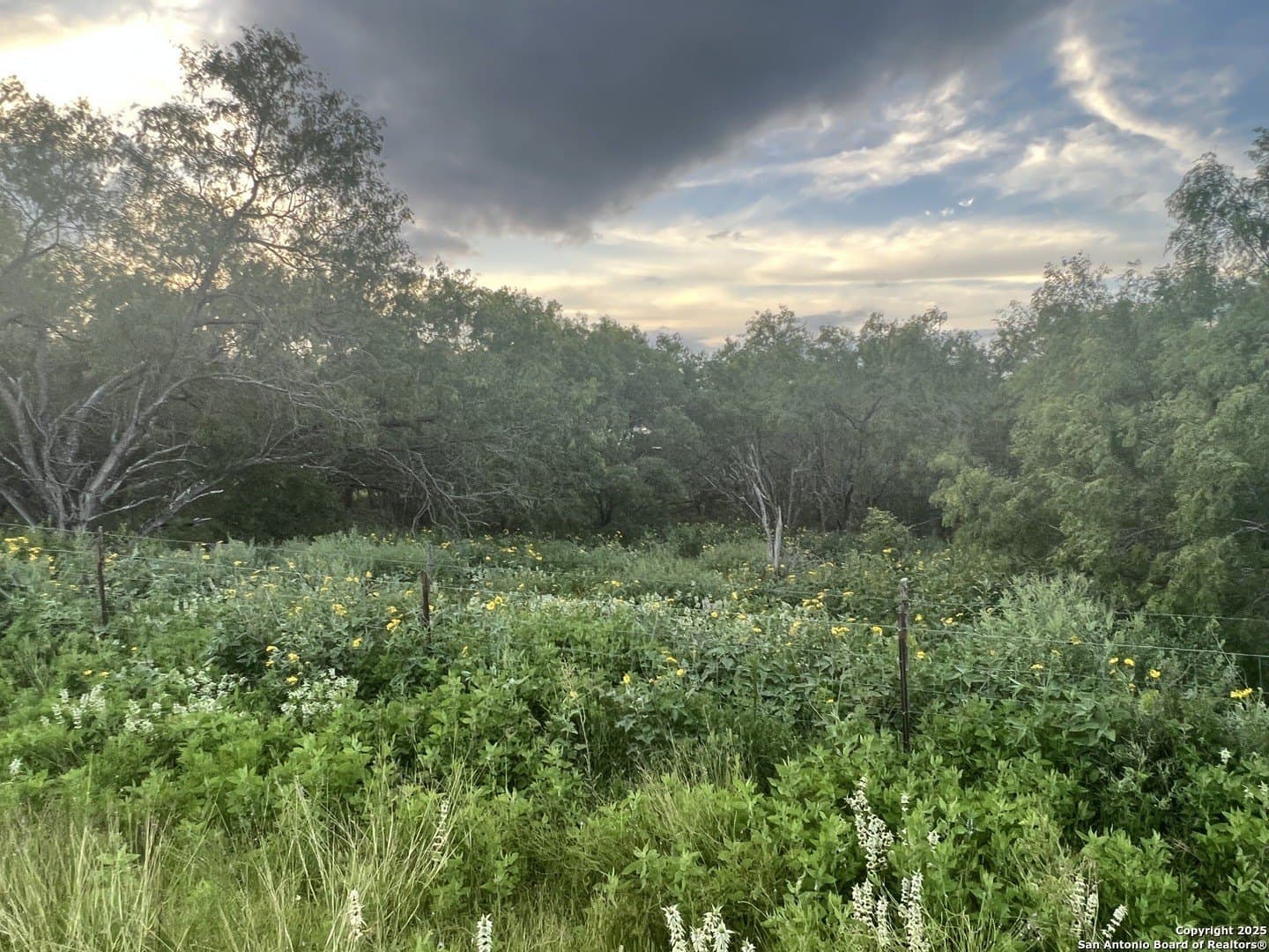 3.25 acres in Bexar County gallery image 3