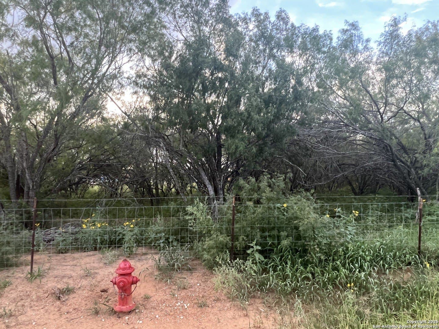 3.25 acres in Bexar County gallery image 2