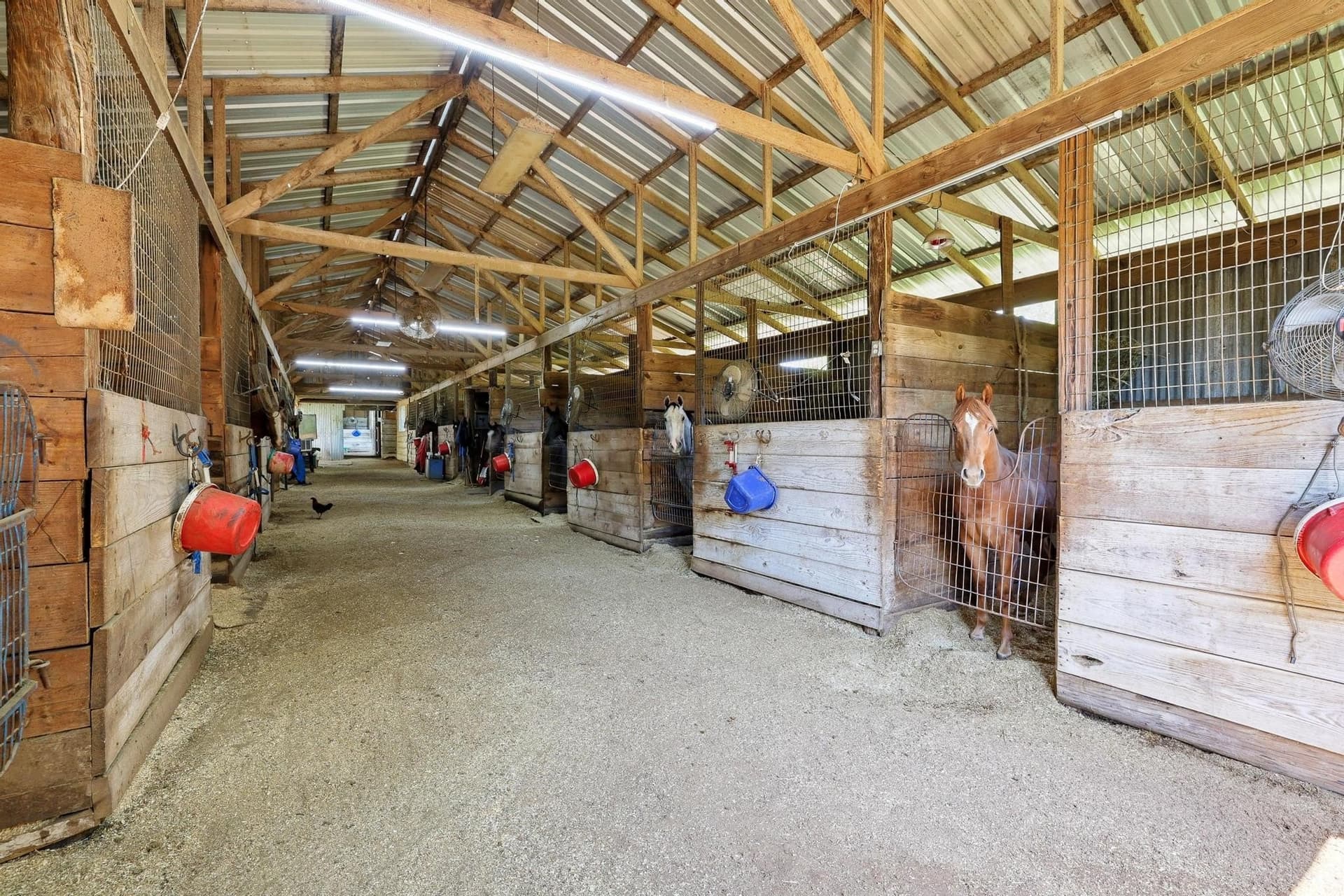 96.27 acres in Grayson County - photo 7